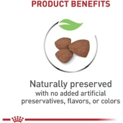 Royal Canin Size Health Nutrition Small Puppy Dry Dog Food 11 Royal Canin Size Health Nutrition Small Puppy Dry Dog Food -Snuggle Paws 778790 PT3. AC SS1800 V1676654024