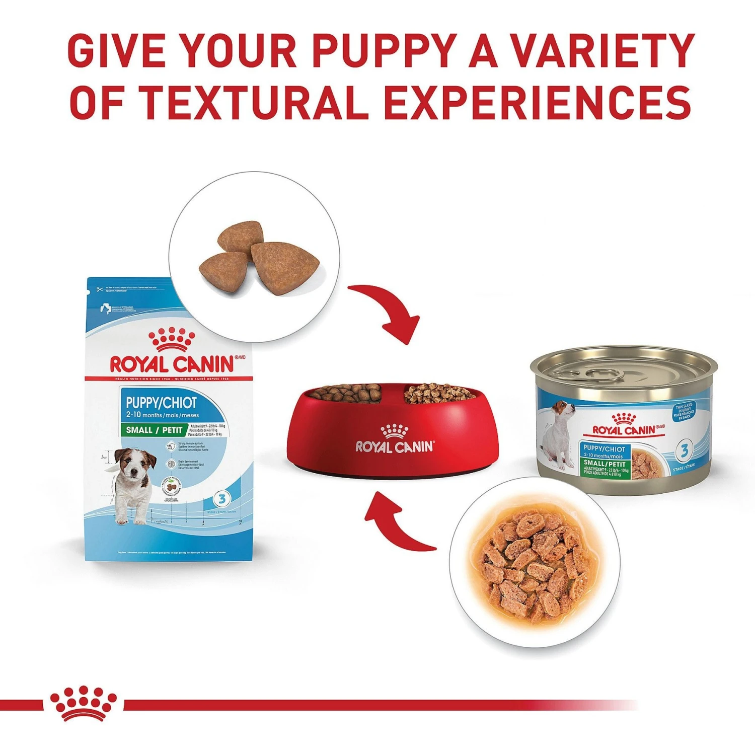 Royal Canin Size Health Nutrition Small Puppy Dry Dog Food 7 Royal Canin Size Health Nutrition Small Puppy Dry Dog Food - Image 5