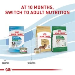 Royal Canin Size Health Nutrition Small Puppy Dry Dog Food 14 Royal Canin Size Health Nutrition Small Puppy Dry Dog Food -Snuggle Paws 778790 PT6. AC SS1800 V1676653248