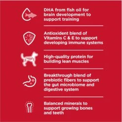 Hill's Science Diet Puppy Large Breed Lamb Meal & Brown Rice Recipe Dry Dog Food -Snuggle Paws 779126 PT2. AC SS1800 V1676907196