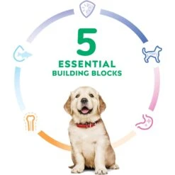 Hill's Science Diet Puppy Large Breed Lamb Meal & Brown Rice Recipe Dry Dog Food -Snuggle Paws 779126 PT4. AC SS1800 V1676751580