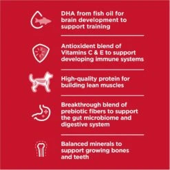 Hill's Science Diet Puppy Large Breed Chicken & Brown Rice Recipe Dry Dog Food -Snuggle Paws 779142 PT2. AC SS1800 V1676907199