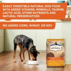 Rachael Ray Nutrish Limited Ingredient Lamb Meal & Brown Rice Recipe Dry Dog Food -Snuggle Paws 77994 PT4. AC SS1800 V1692806348