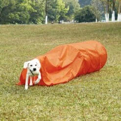 Outward Hound Zip & Zoom Closed Tunnel Chute Attachment With Metal Stakes Dog Agility Kit, Orange -Snuggle Paws 786494 PT4. AC SS1800 V1682620881