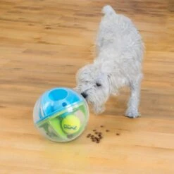 Outward Hound A-Maze Ball Puzzle & Treat Maze Interactive Dog Toy, Green -Snuggle Paws 786510 PT6. AC SS1800 V1682628695
