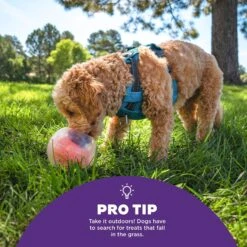 Outward Hound Dog Rumble Puzzle Ball Puzzle & Treat Maze Interactive Dog Toy, Orange -Snuggle Paws 786558 PT4. AC SS1800 V1694286050