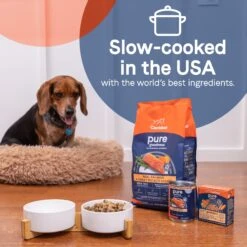 CANIDAE PURE Real Salmon & Rice Bone Broth Wet Dog Food Topper, 5.5-oz Box, Case Of 6 -Snuggle Paws 787158 PT4. AC SS1800 V1678713148