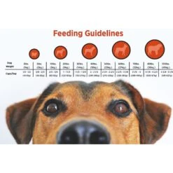 Blackwood 3000 Lamb Meal & Brown Rice Recipe Everyday Diet Dry Dog Food -Snuggle Paws 79162 PT4. AC SS1800 V1550528818