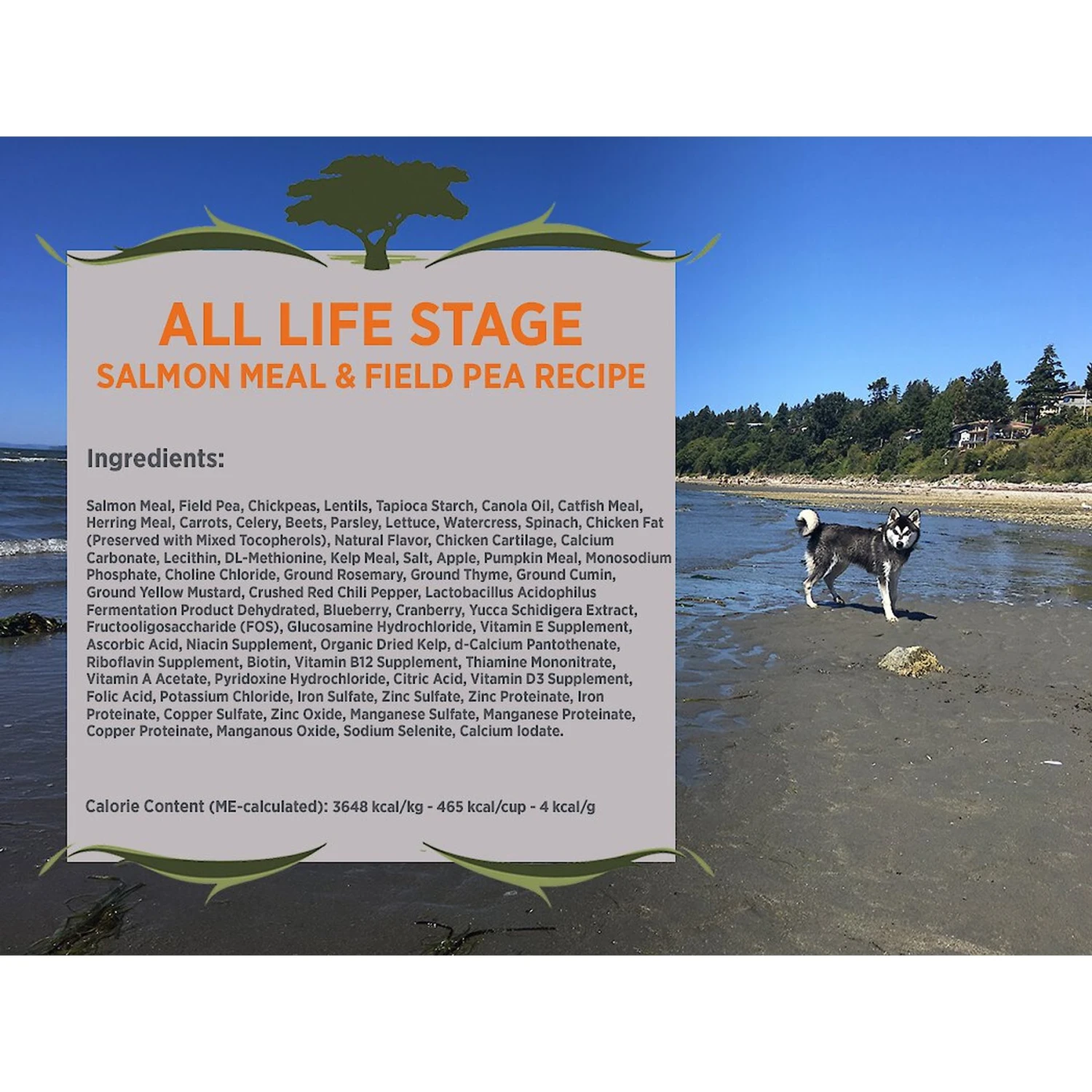 Blackwood Salmon Meal & Field Pea Recipe Grain-Free Dry Dog Food 5 Blackwood Salmon Meal & Field Pea Recipe Grain-Free Dry Dog Food - Image 3