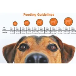 Blackwood Salmon Meal & Field Pea Recipe Grain-Free Dry Dog Food 12 Blackwood Salmon Meal & Field Pea Recipe Grain-Free Dry Dog Food -Snuggle Paws 79172 PT4. AC SS1800 V1550528840