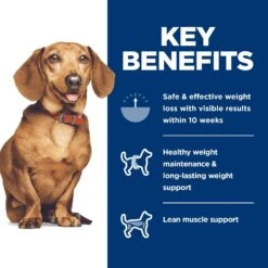 Hill's Science Diet Adult Perfect Weight Small & Mini Chicken Recipe Dry Dog Food -Snuggle Paws 794902 PT6. AC SS1800 V1682950512