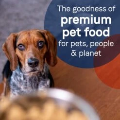 CANIDAE PURE Puppy Grain-Free Limited Ingredient Chicken Recipe Canned Dog Food 18 CANIDAE PURE Puppy Grain-Free Limited Ingredient Chicken Recipe Canned Dog Food -Snuggle Paws 79984 PT7. AC SS1800 V1683052292