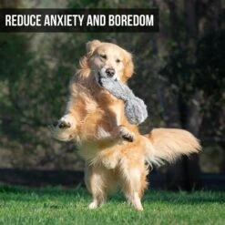 Hyper Pet Doggie Tail Interactive Dog Toy -Snuggle Paws 80151 Pt3. AC SS1800 V1583767075