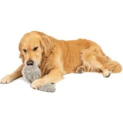 Hyper Pet Doggie Tail Interactive Dog Toy -Snuggle Paws 80151 Pt5. AC SS1800 V1583768575