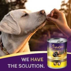 Zignature Turkey Limited Ingredient Formula Canned Dog Food -Snuggle Paws 80248 PT5. AC SS1800 V1638569112