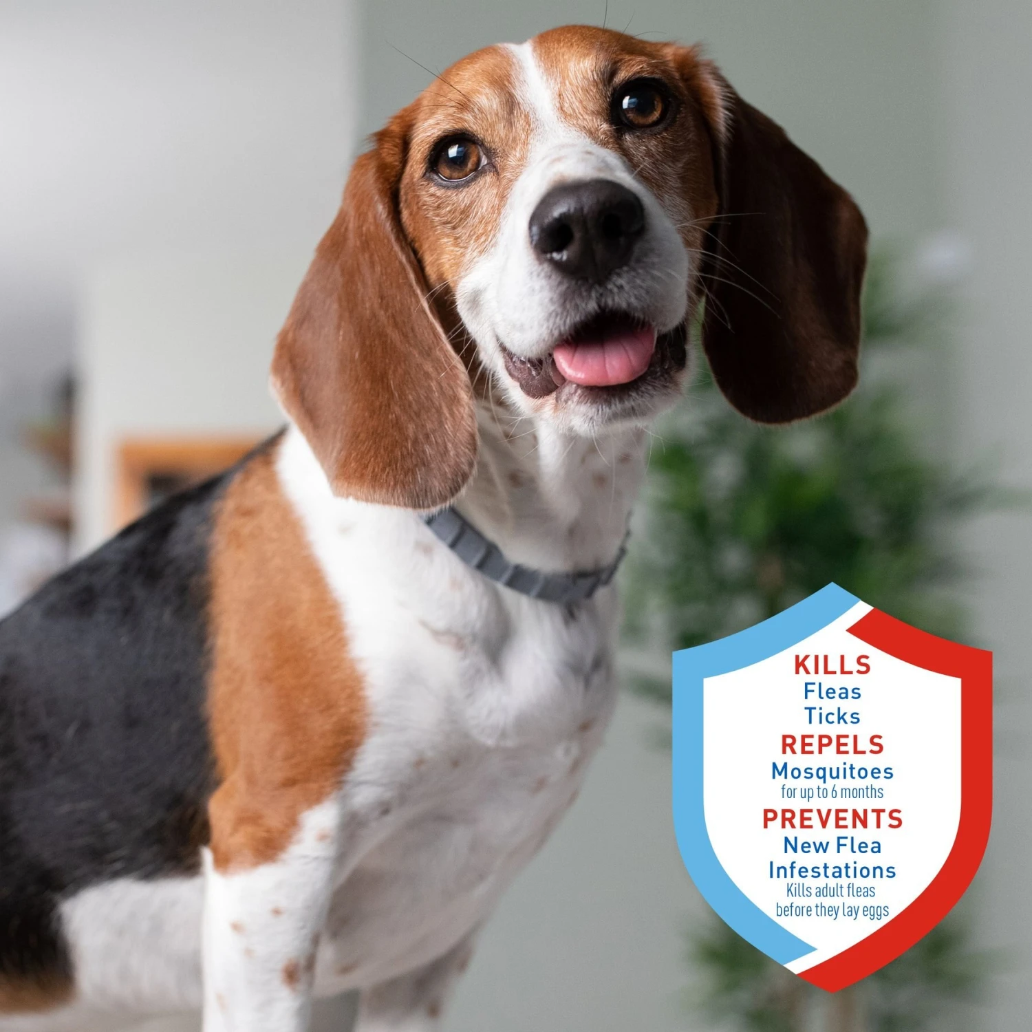 Adams® Adams Flea & Tick Collar PLUS For Dogs & Puppies, 1 Count 4 Adams® Adams Flea & Tick Collar PLUS For Dogs & Puppies, 1 Count - Image 2