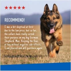 Adams® Adams Flea & Tick Collar PLUS For Dogs & Puppies, 1 Count 17 Adams® Adams Flea & Tick Collar PLUS For Dogs & Puppies, 1 Count -Snuggle Paws 804246 PT6. AC SS1800 V1697032128