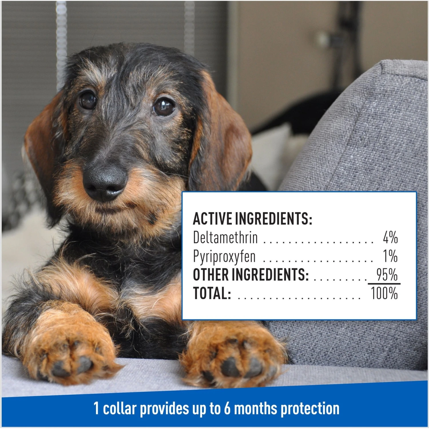 Adams® Adams Flea & Tick Collar PLUS For Dogs & Puppies, 1 Count 10 Adams® Adams Flea & Tick Collar PLUS For Dogs & Puppies, 1 Count - Image 8