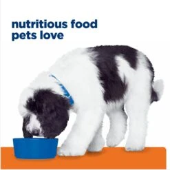 Hill's Prescription Diet C/d Multicare Urinary Care Chicken & Vegetable Stew Canned Dog Food 18 Hill's Prescription Diet C/d Multicare Urinary Care Chicken & Vegetable Stew Canned Dog Food -Snuggle Paws 80492 PT7. AC SS1800 V1676910310