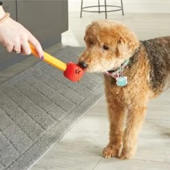 Brightkins Pooch School! Training Set Dog Toys -Snuggle Paws 805342 PT3. AC SS1800 V1682450379