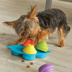 Brightkins Cupcake Party! Puzzle Treat Dog Toy 12 Brightkins Cupcake Party! Puzzle Treat Dog Toy -Snuggle Paws 805374 PT4. AC SS1800 V1682450451