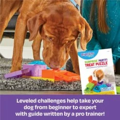 Brightkins Surprise Party! Puzzle Treat Dog Toy 10 Brightkins Surprise Party! Puzzle Treat Dog Toy -Snuggle Paws 805390 PT2. AC SS1800 V1679069715