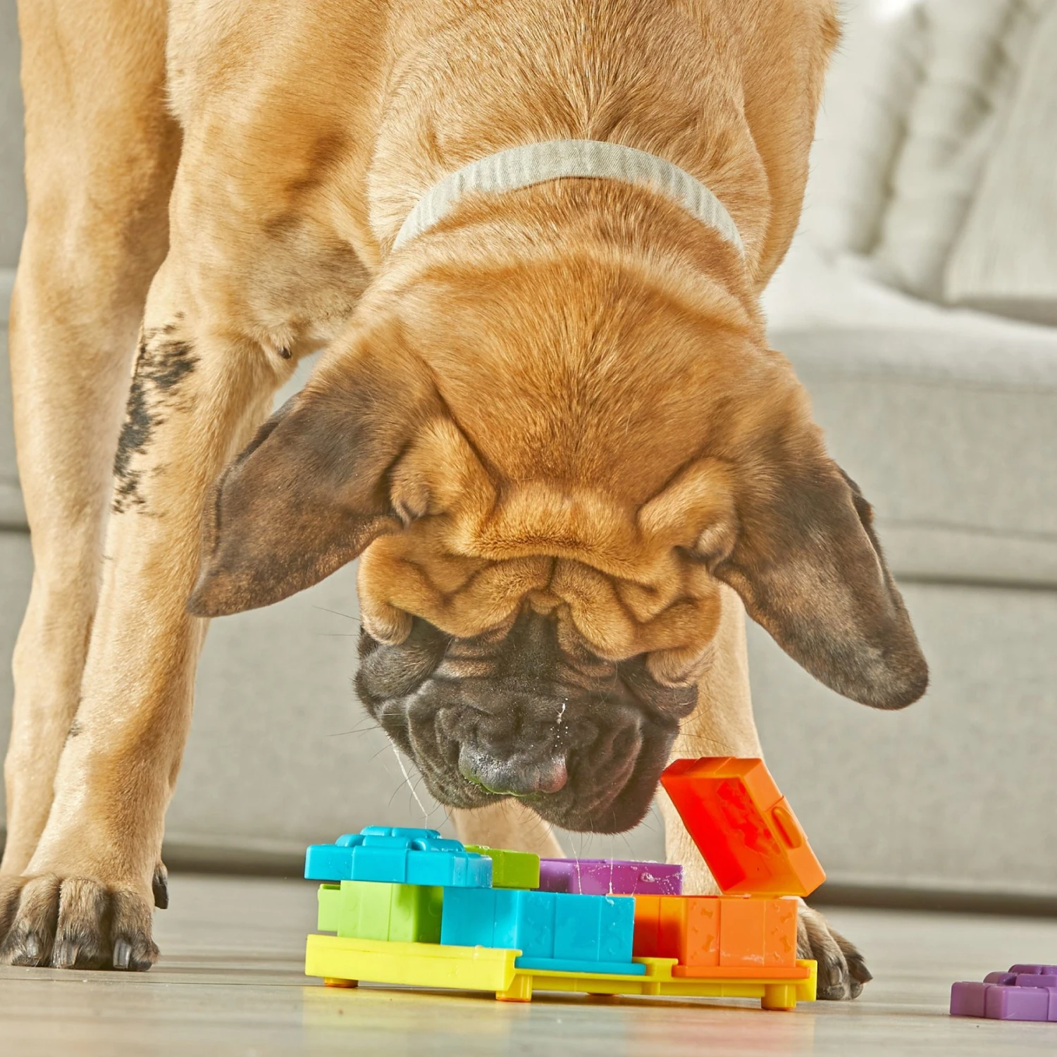 Brightkins Surprise Party! Puzzle Treat Dog Toy 6 Brightkins Surprise Party! Puzzle Treat Dog Toy - Image 4