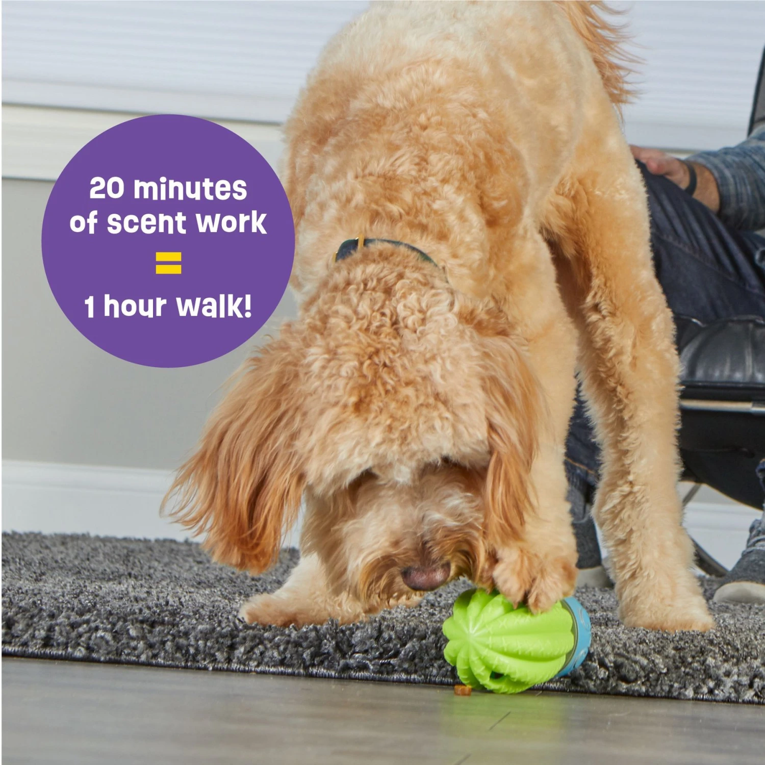 Brightkins Cactus Surprise! Treat Dispensing Dog Toy 6 Brightkins Cactus Surprise! Treat Dispensing Dog Toy - Image 4