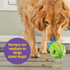 Brightkins Cactus Surprise! Treat Dispensing Dog Toy 12 Brightkins Cactus Surprise! Treat Dispensing Dog Toy -Snuggle Paws 805422 PT4. AC SS1800 V1682450356