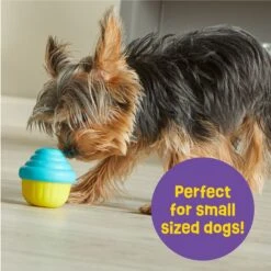 Brightkins Small Cupcake Treat Dispenser Dog Toy -Snuggle Paws 805438 PT3. AC SS1800 V1682450416