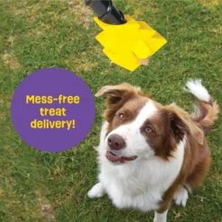 Brightkins Magic Wand! Bolt Treat Dispensing Dog Toy -Snuggle Paws 805470 PT3. AC SS1800 V1682450563