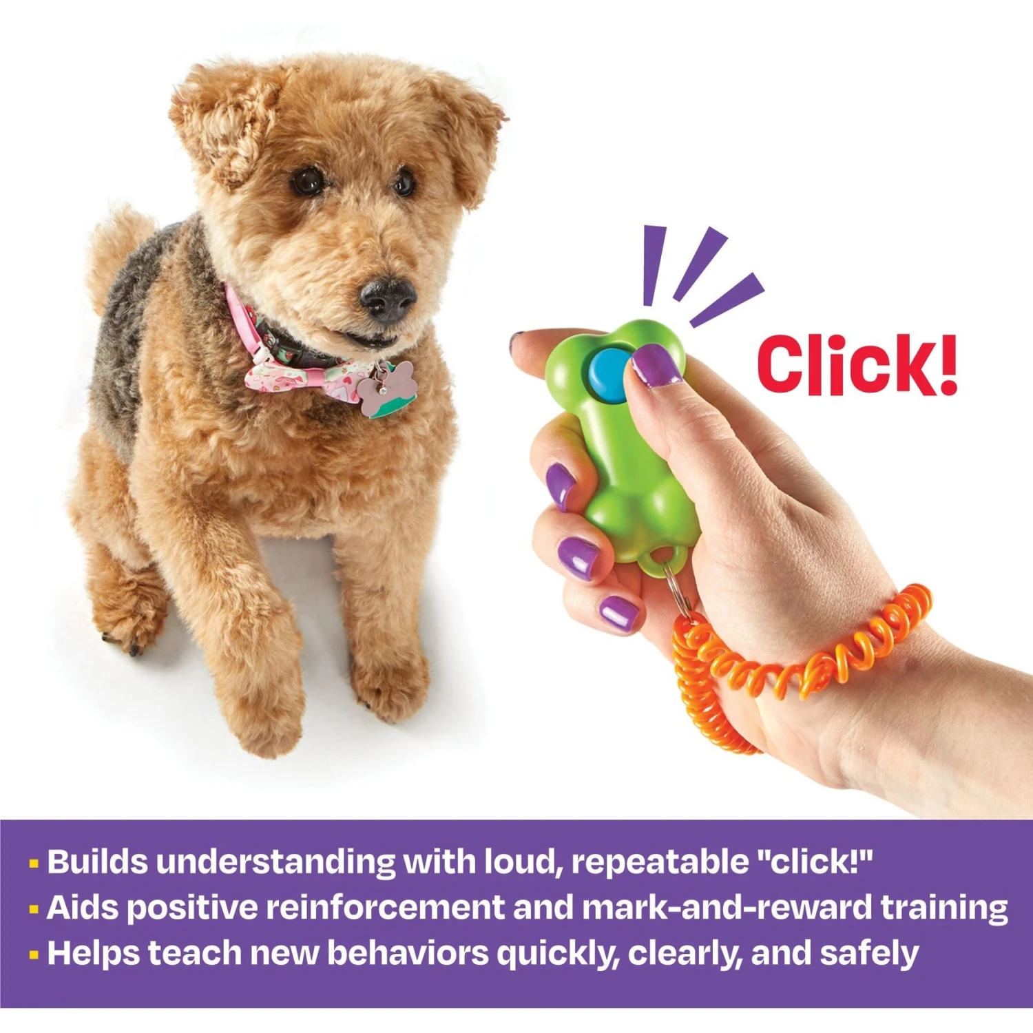Brightkins Smarty Pooch Bone Dog Training Clicker 4 Brightkins Smarty Pooch Bone Dog Training Clicker - Image 2