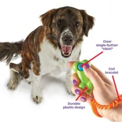 Brightkins Smarty Pooch Bone Dog Training Clicker 11 Brightkins Smarty Pooch Bone Dog Training Clicker -Snuggle Paws 805486 PT3. AC SS1800 V1682450551