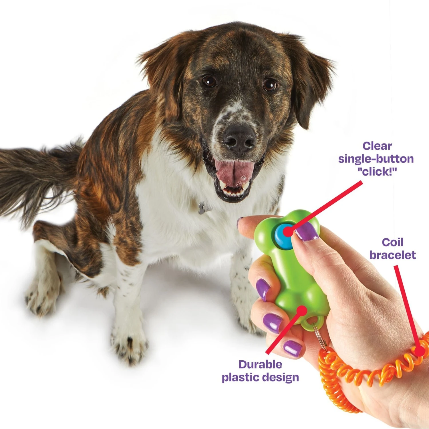 Brightkins Smarty Pooch Bone Dog Training Clicker 6 Brightkins Smarty Pooch Bone Dog Training Clicker - Image 4