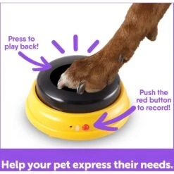 Hunger For Words Talking Pet Next Words: Names Dog Toy -Snuggle Paws 805566 PT4. AC SS1800 V1682450408