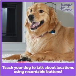 Hunger For Words Talking Pet Next Words: Locations Dog Toy -Snuggle Paws 805582 PT2. AC SS1800 V1679069469