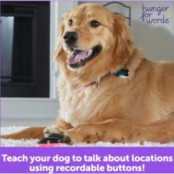 Hunger For Words Talking Pet Next Words: Locations Dog Toy -Snuggle Paws 805582 PT5. AC SS1800 V1682450486