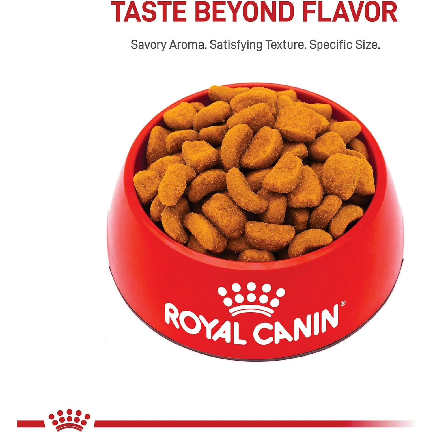 Royal Canin Breed Health Nutrition Rottweiler Adult Dry Dog Food 4 Royal Canin Breed Health Nutrition Rottweiler Adult Dry Dog Food - Image 2