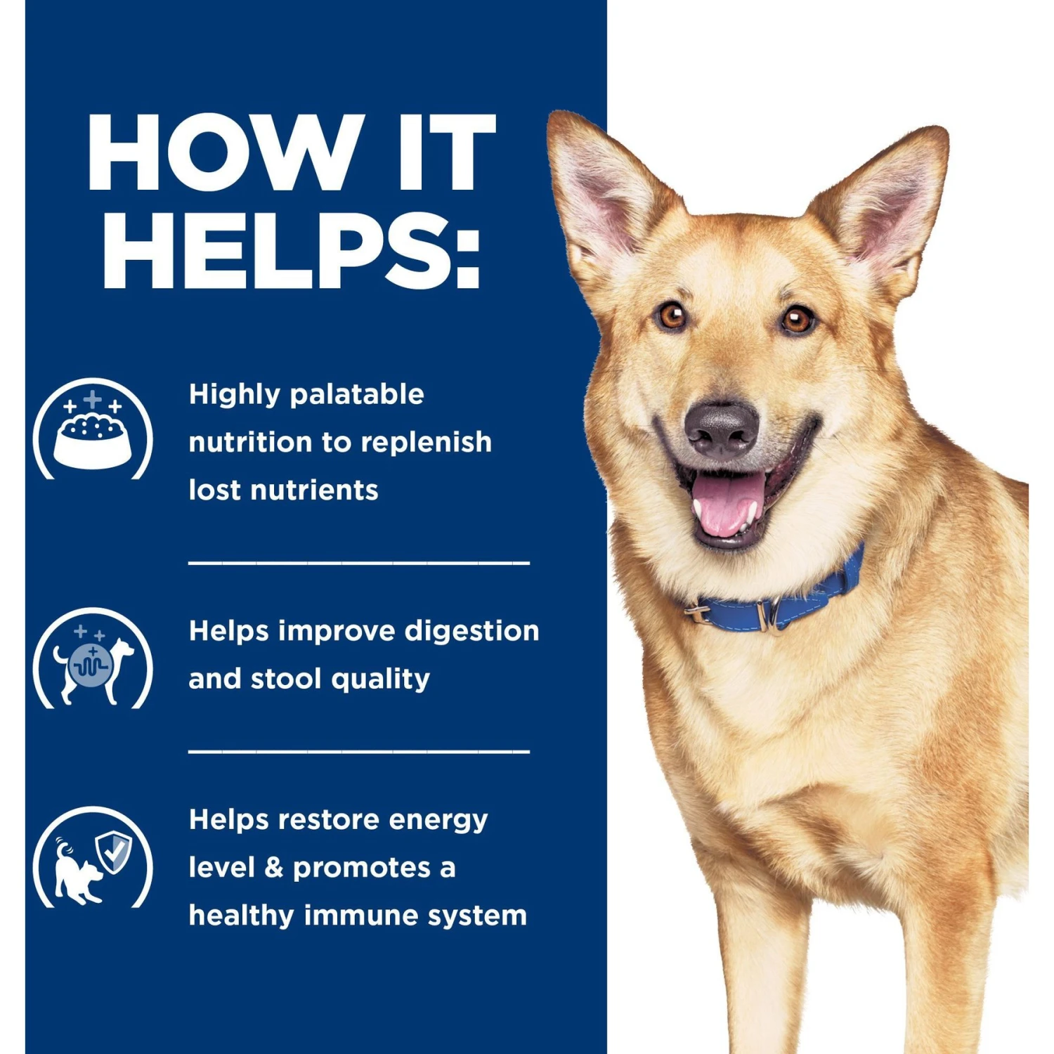 Hill's Prescription Diet I/d Digestive Care Chicken & Vegetable Stew Wet Dog Food 8 Hill's Prescription Diet I/d Digestive Care Chicken & Vegetable Stew Wet Dog Food - Image 6