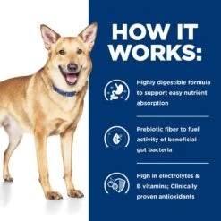 Hill's Prescription Diet I/d Digestive Care Chicken & Vegetable Stew Wet Dog Food 17 Hill's Prescription Diet I/d Digestive Care Chicken & Vegetable Stew Wet Dog Food -Snuggle Paws 81163 PT6. AC SS1800 V1657661032