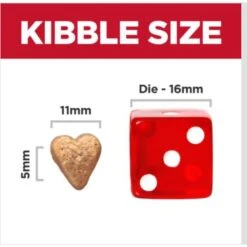 Hill's Science Diet Perfect Weight & Joint Support Chicken Flavored Adult Dry Dog Food -Snuggle Paws 819494 PT4. AC SS1800 V1683207479