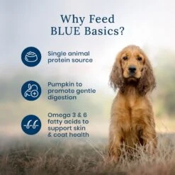 Blue Buffalo Basics LID Skin & Stomach Care Grain-Free Salmon In Gravy Adult Wet Dog Food Topper, 2.5-oz Pouch, Case Of 12 11 Blue Buffalo Basics LID Skin & Stomach Care Grain-Free Salmon In Gravy Adult Wet Dog Food Topper, 2.5-oz Pouch, Case Of 12 -Snuggle Paws 821030 PT3. AC SS1800 V1680280791