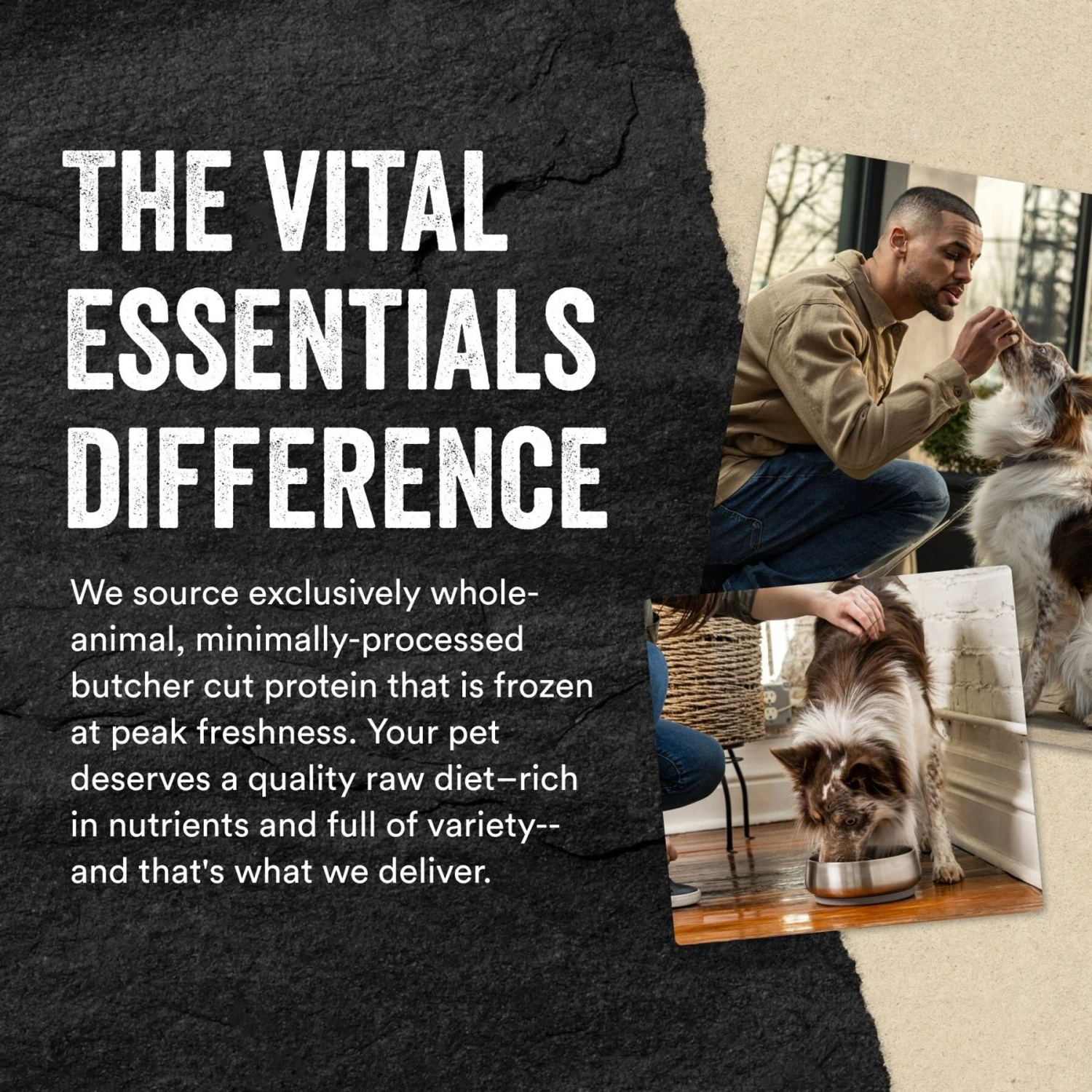 Vital Essentials Freeze-Dried Raw Beef Patties Entree Dog Food 8 Vital Essentials Freeze-Dried Raw Beef Patties Entree Dog Food - Image 6