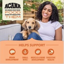 ACANA Wholesome Grains Real Chicken Eggs & Turkey Dry Puppy Food, 22.5-lb Bag -Snuggle Paws 822678 PT4. AC SS1800 V1696276651