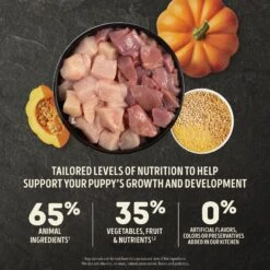 ACANA Wholesome Grains Large Breed Puppy Dry Dog Food, 22.5-lb Bag -Snuggle Paws 822710 PT3. AC SS1800 V1682540129