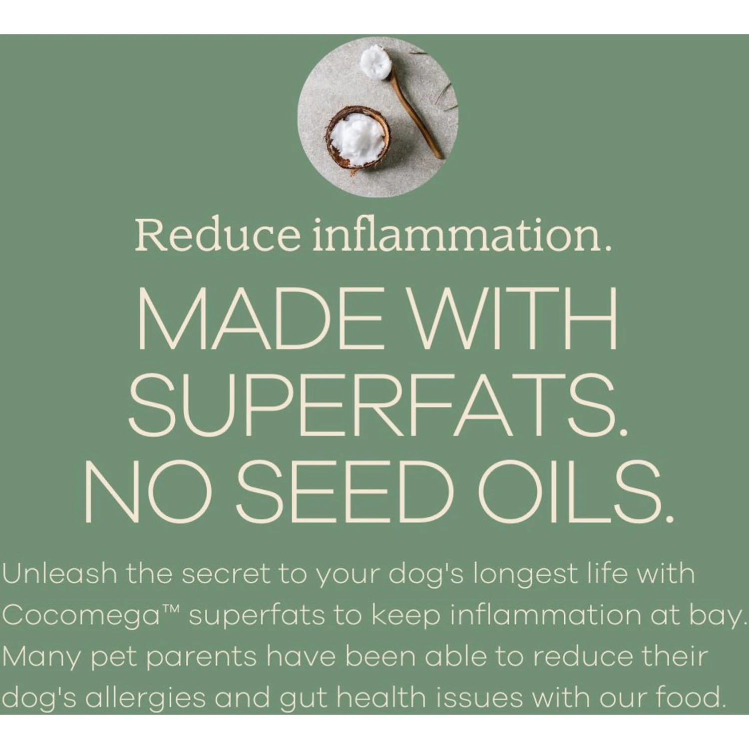 Yumwoof Natural Pet Food Perfect Kibble Gut Health Coconut Chicken Dehydrated Dog Food, 14-oz Bag 7 Yumwoof Natural Pet Food Perfect Kibble Gut Health Coconut Chicken Dehydrated Dog Food, 14-oz Bag - Image 5