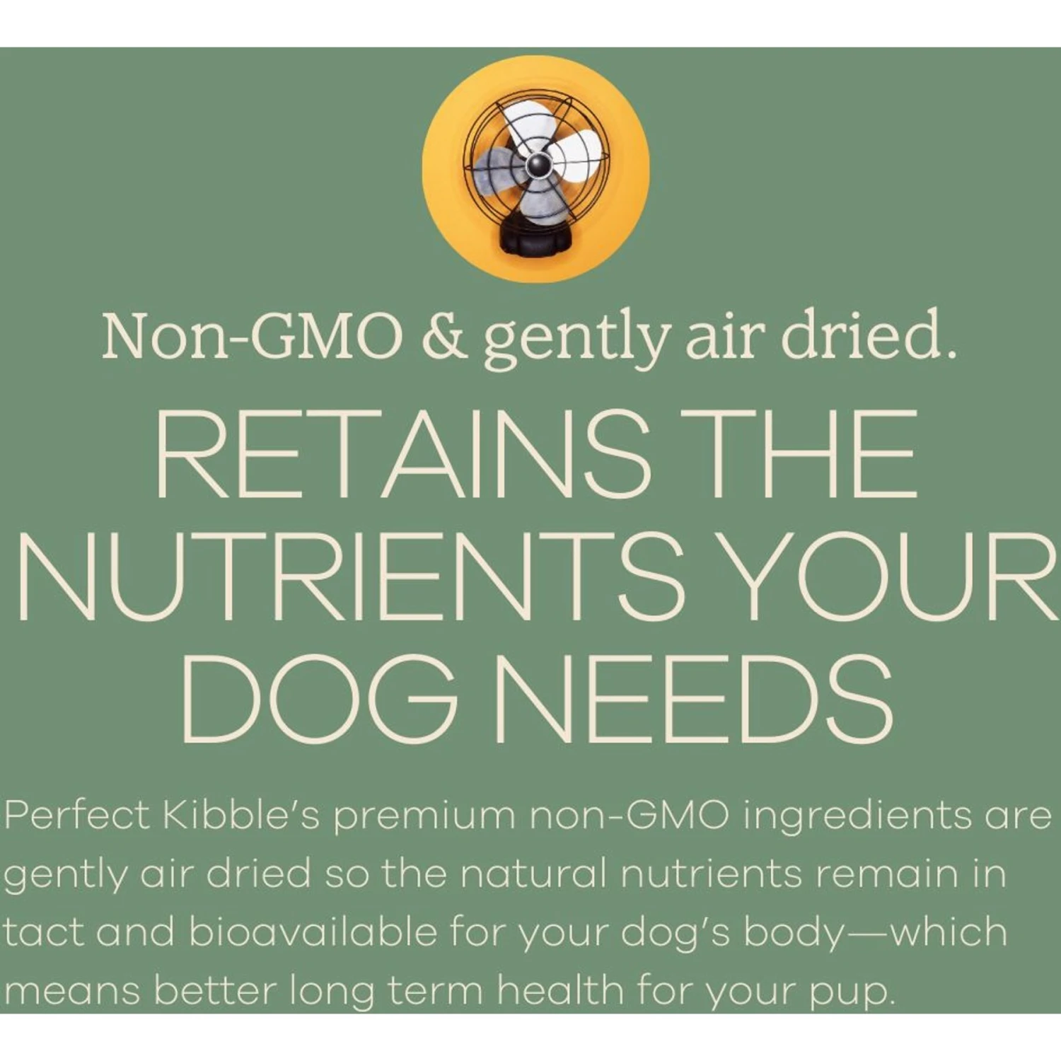 Yumwoof Natural Pet Food Perfect Kibble Gut Health Beef Pot Roast Dehydrated Dog Food, 14-oz Bag 6 Yumwoof Natural Pet Food Perfect Kibble Gut Health Beef Pot Roast Dehydrated Dog Food, 14-oz Bag - Image 4