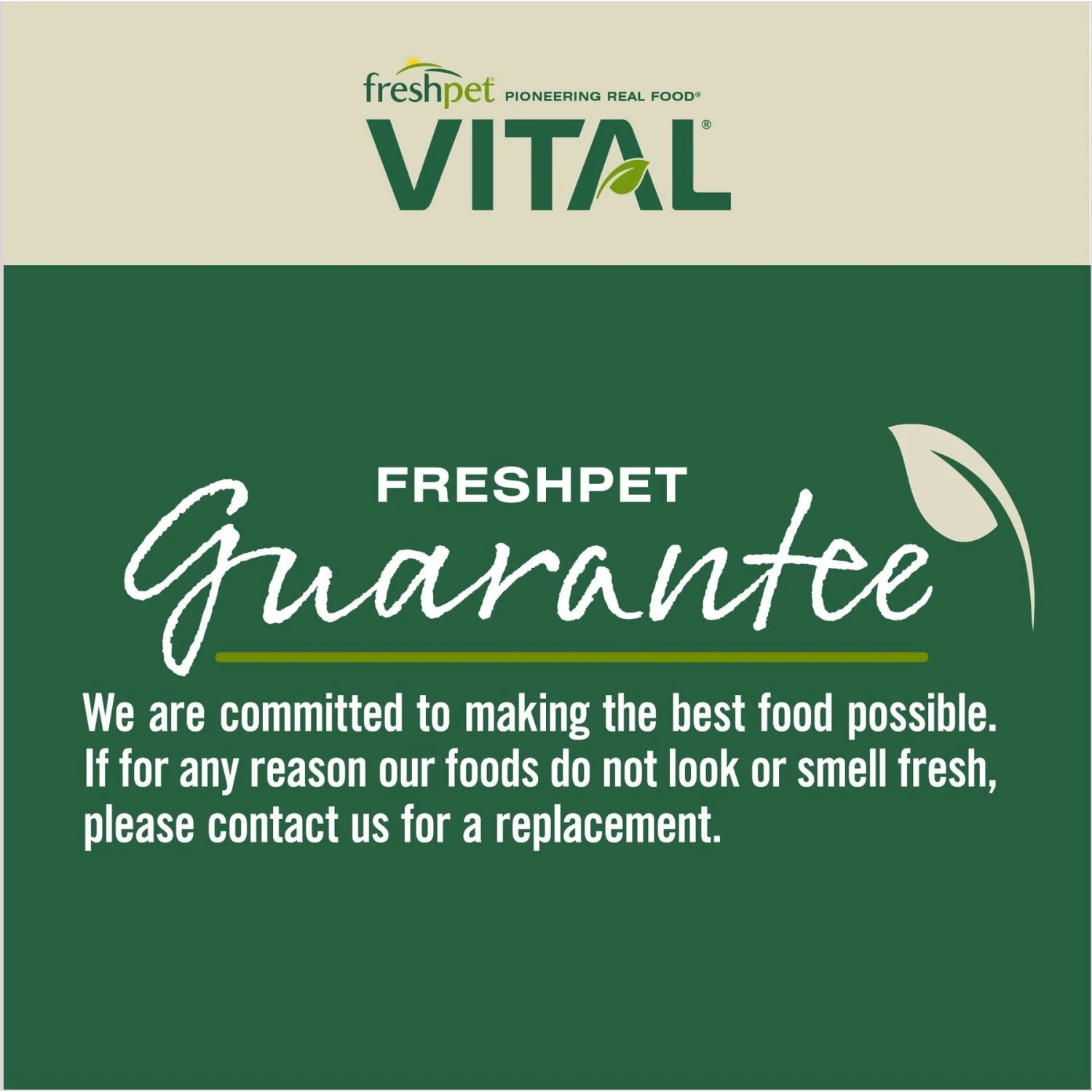 Freshpet Vital Fresh Cuts Chicken Recipe Fresh Dog Food 10 Freshpet Vital Fresh Cuts Chicken Recipe Fresh Dog Food - Image 8