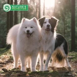 Nature's Protection Superior Care Grain-Free Lamb Adult Small Breed Dog Dry Food -Snuggle Paws 825470 PT7. AC SS1800 V1700157433