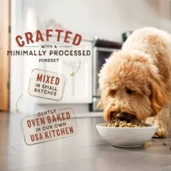 Stella & Chewy's SuperBlends Raw Coated Wholesome Grains Puppy Cage-Free Chicken & Wild-Caught Salmon Recipe With Superfoods Dry Dog Food -Snuggle Paws 825822 PT5. AC SS1800 V1683553483
